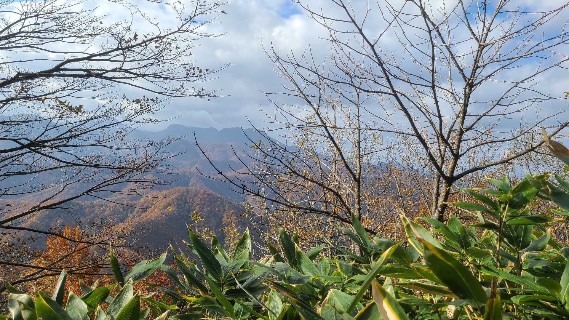 面白山