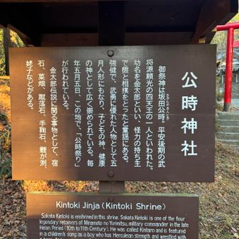 公時神社を通っていきます。
坂田公時は、源頼光に仕えていました
