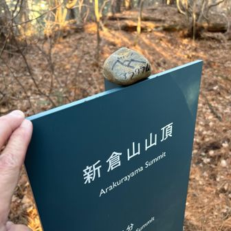 まずは新倉山登頂〽️
てっぺんの石がおしゃれ。