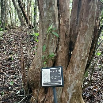 　　　　　県立自然公園