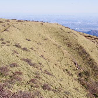 ここも必ず立ち止まる写真ポイント。斜面に無数の筋がついてるのは、たぶん獣道ってやつですね。