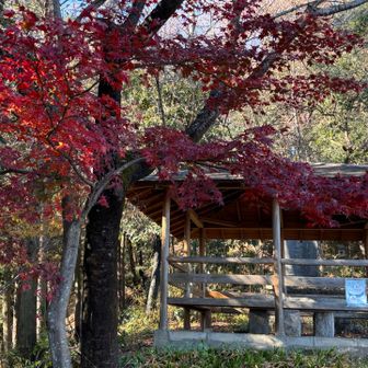 東屋も何ヶ所もあってイイね