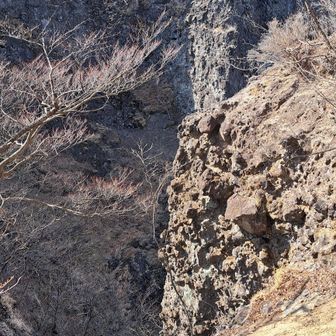 吸い込まれそう