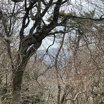 木々の間から大六天山？