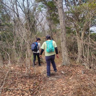 あと、ワンピーク😆ファイティン