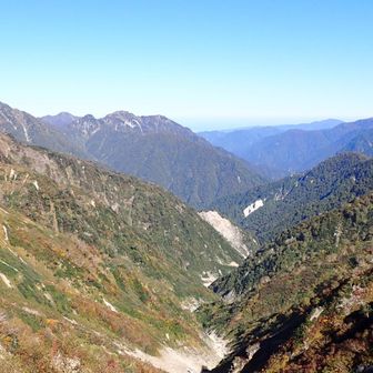 沢は北股コース(熟練者とスタッフさんコース)
一般の私は真ん中の二股から仙人新道の尾根を登って来ました