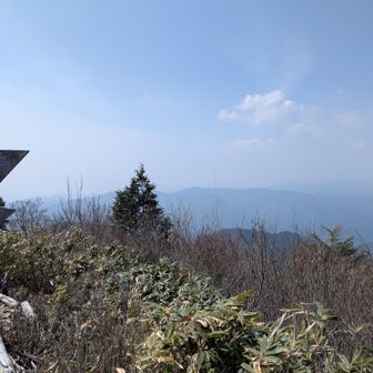 西。タカネ（左右前）