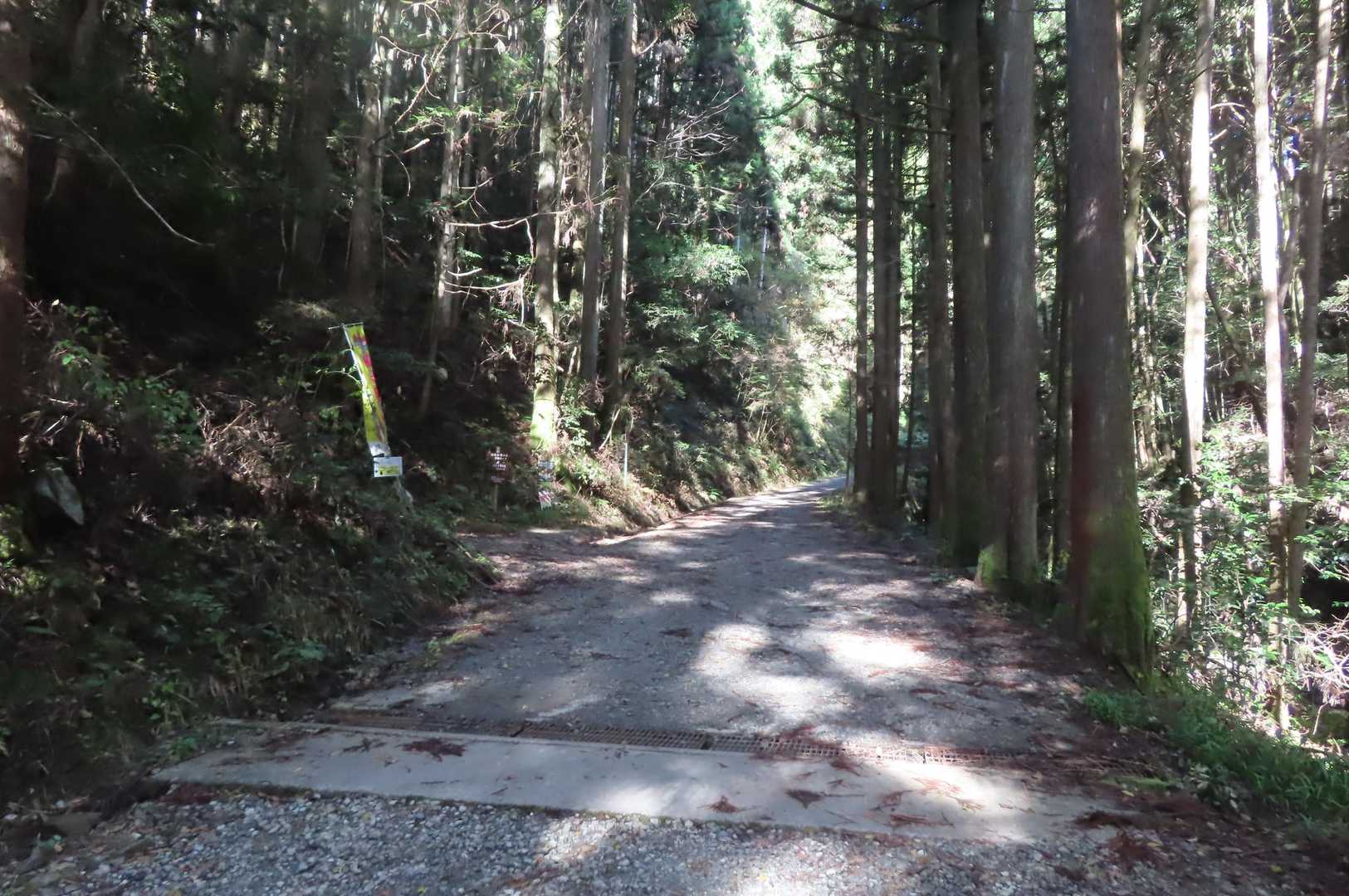 中級コース登山口
初級コースはこのまま林道を歩いて行きます