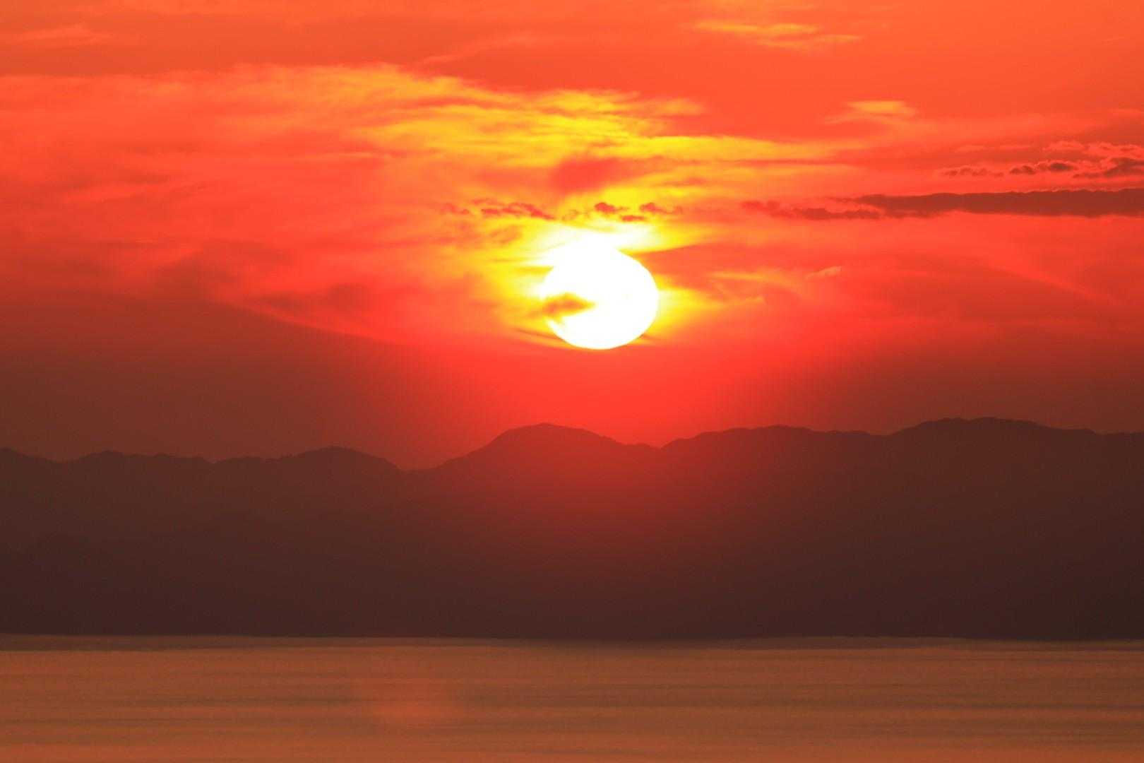 夏を知る