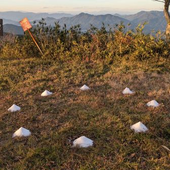 これは何だ？
盛り塩？
何だか気味が悪いなぁ···