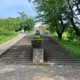 舗装路を歩いていくと白い建設物に辿り着く。
想像以上に立派な建設物で驚く。