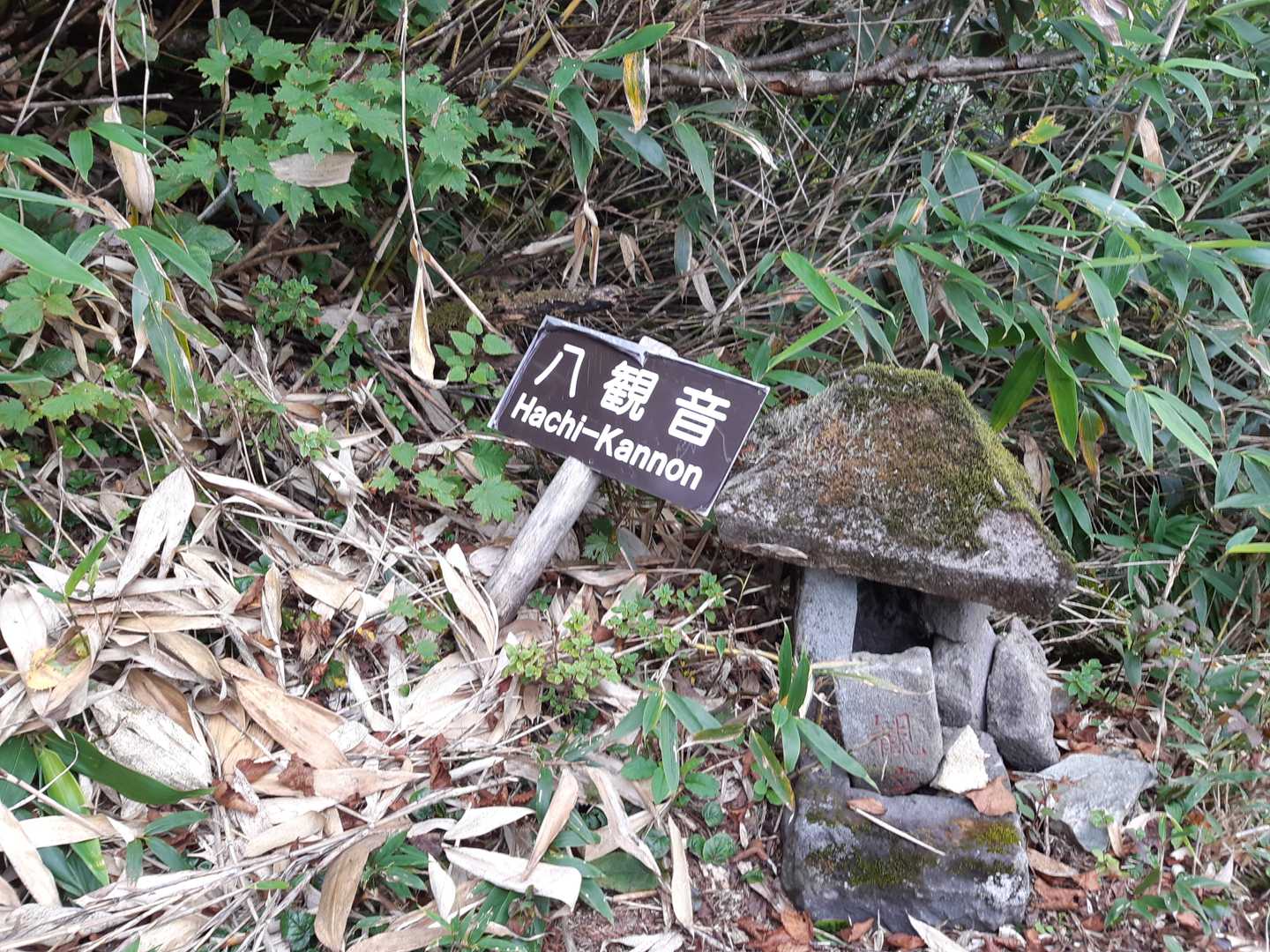 【周回】 高妻山（戸隠キャンプ場）の写真