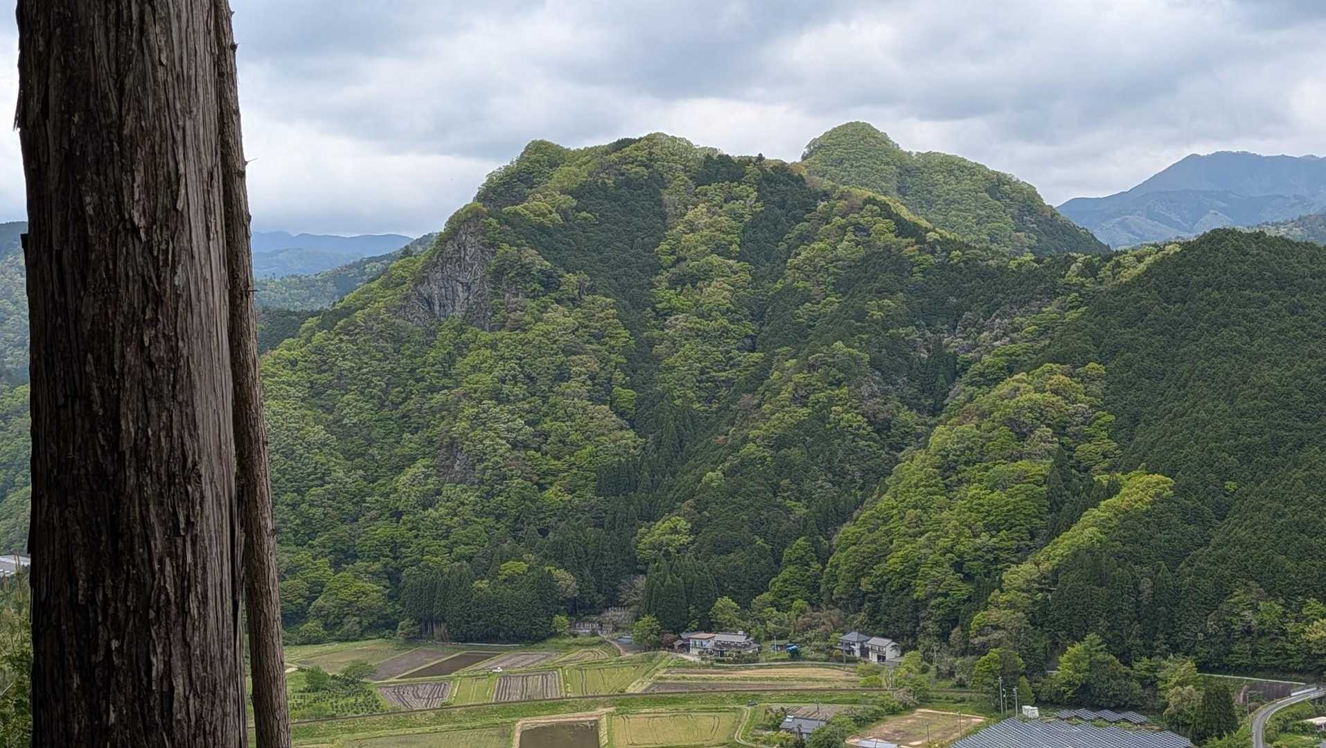 加茂のお山も格好いい‼️
