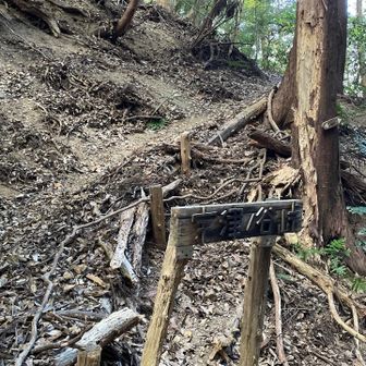 ここが宇津ノ谷峠だが、「史跡」として看板が地味過ぎない⁇