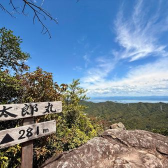 着いてびっくり。
281mしかないの！？結構高度感あるのに。
山頂付近にクロスズメバチがいた。