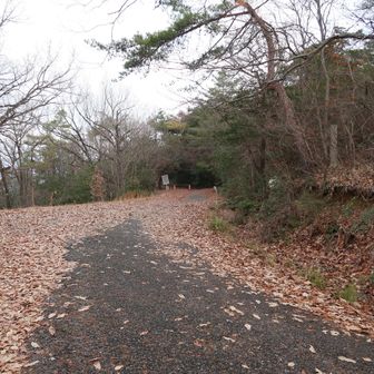 何とか林道に合流