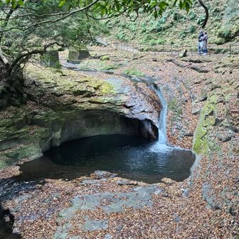 赤目四十八滝でいちばん見入った滝が、この竜ヶ壺でした。
なに、この滝壺のえぐれっぷり！　水、荒ぶりすぎ！