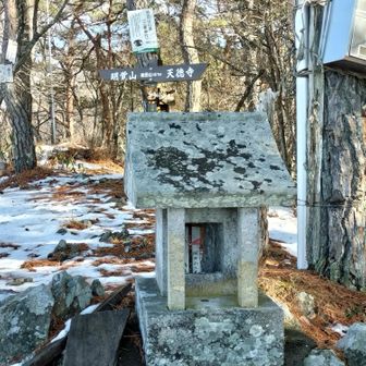 坂田山にたどり着きました。