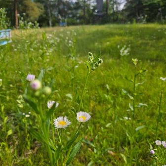 広場になっています。
さあ次です。