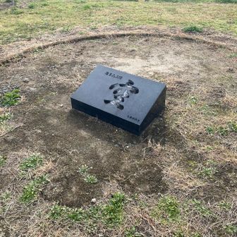 コレが山頂標識てことでえぇんかな？