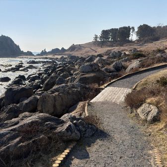 整備された遊歩道もかなりあるが、ペースは上がらない。