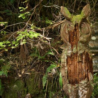 頑張ってるミミズクさんw