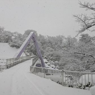 陸橋も雪化粧。
