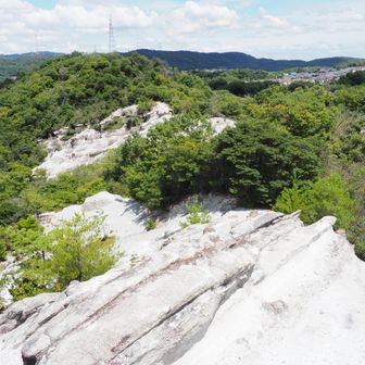 こんな奇岩群はそうないのでは(･･?)

ここ屯鶴峯は奈良の天然記念物に指定されています

屯鶴峯は二上山の火山活動によって出来たそうです🌋

それより二上山が火山だったとは知らなかった(^^;) 