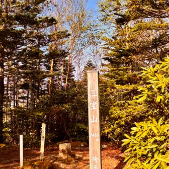 で、三宝山⛰️
甲武信ヶ岳よりわずかに高いお山