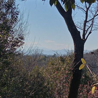 富士山が見えると思ってたけど、霞んでて見えなかった🥲