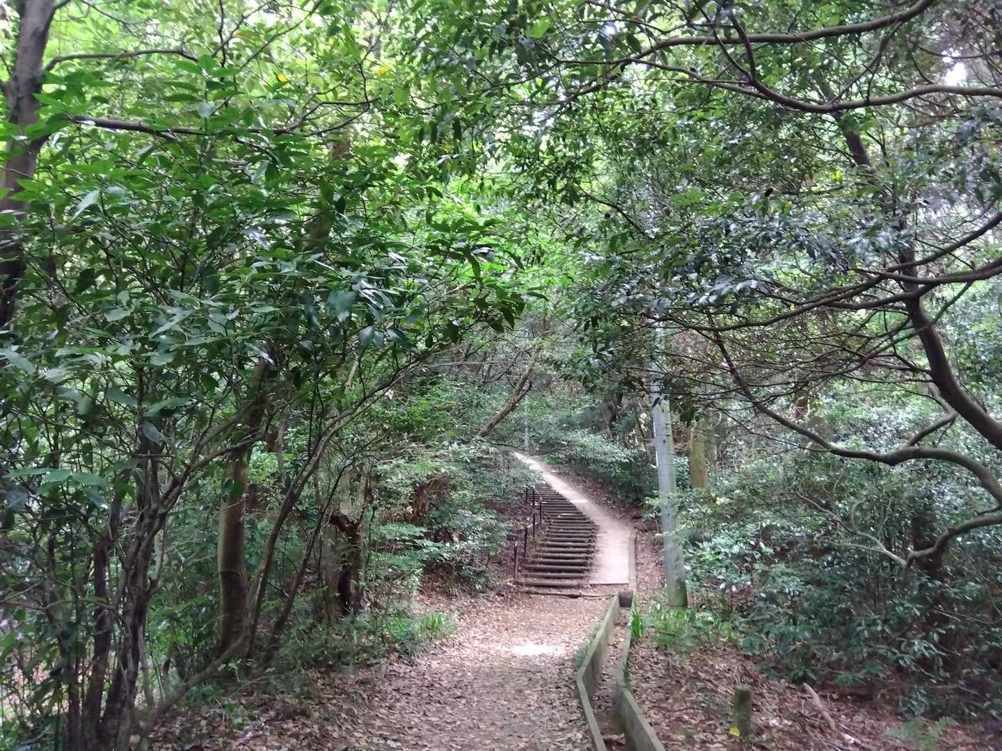 風～気持ちいい〜🍃