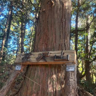 最後の花沢山⛰️