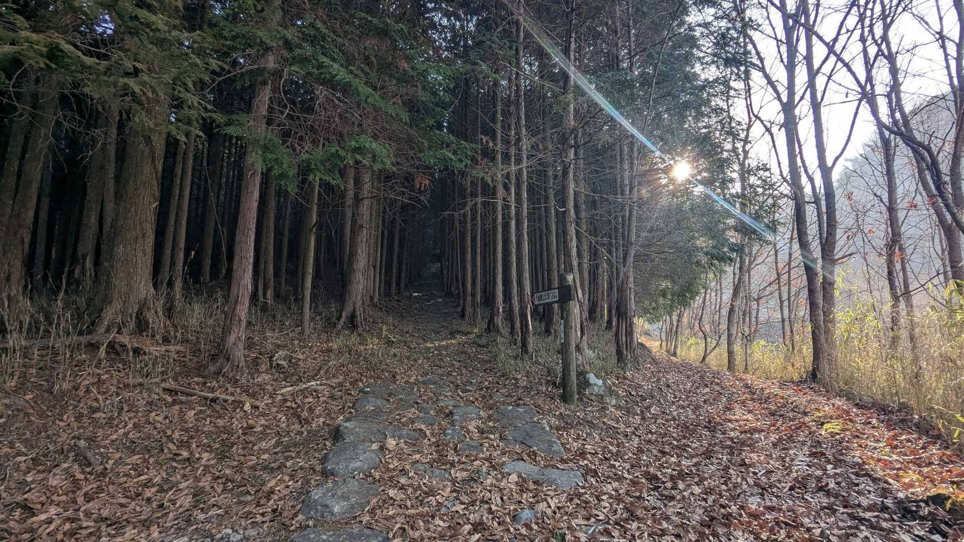 大岩扇山スタート❗️