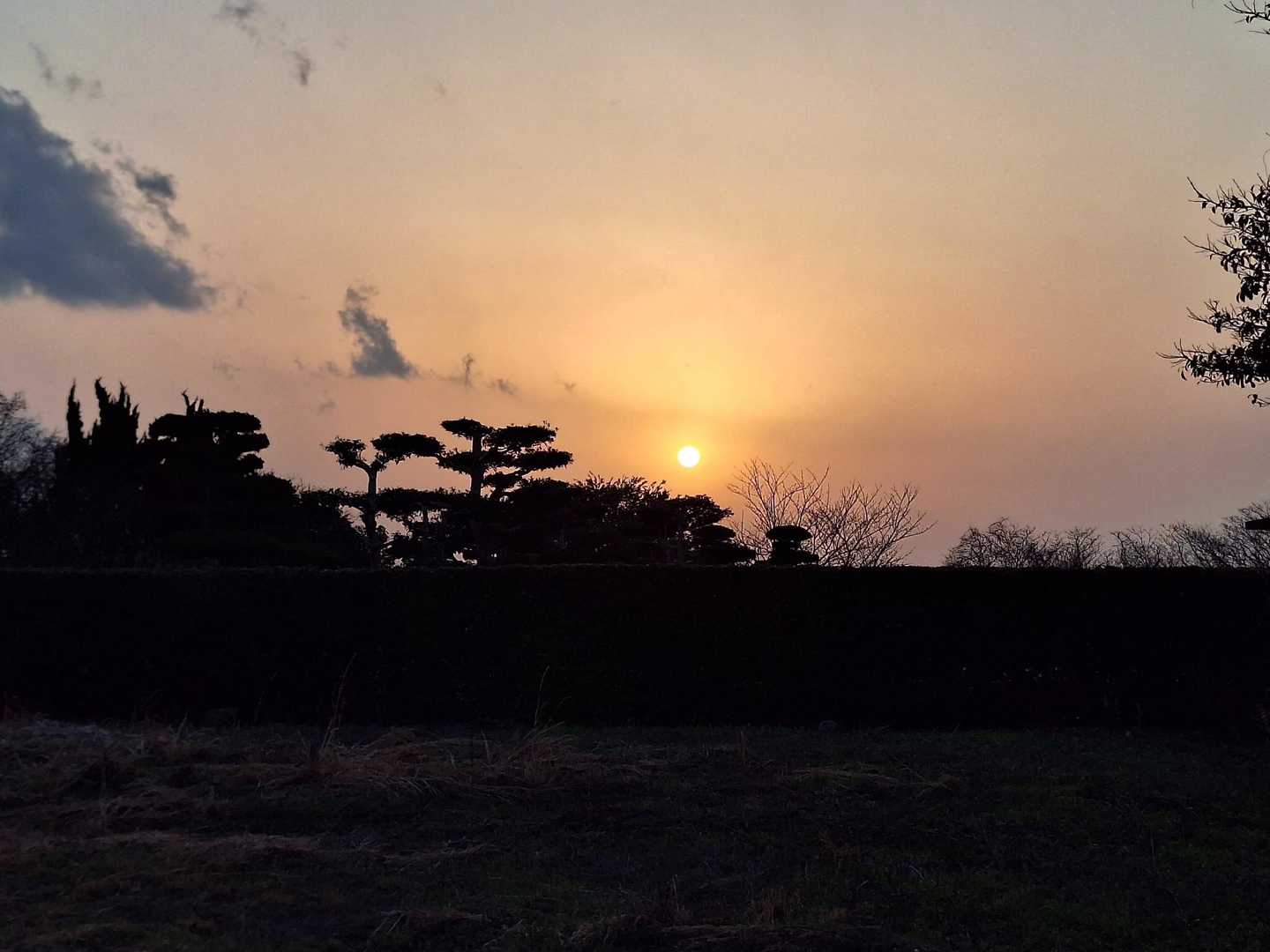 おぉ～っ いい感じです( 〃▽〃)