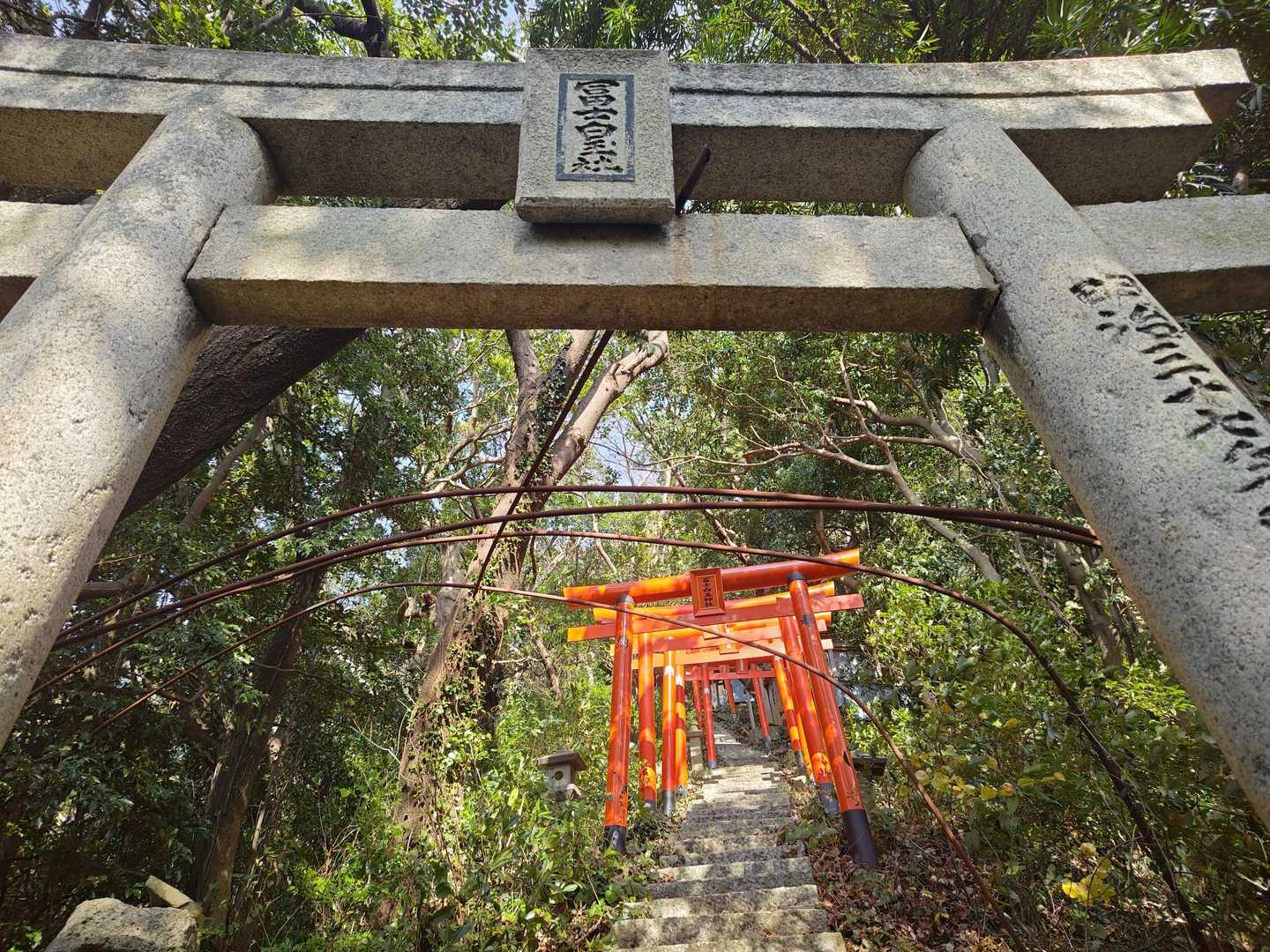 てくてく