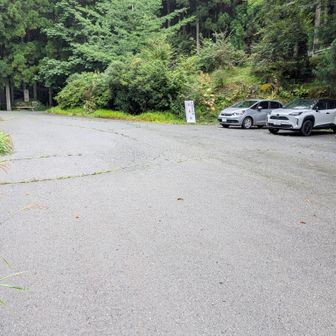 青崩峠駐車場
ヒヤヒヤしたが対向車に会わずに何とか到着