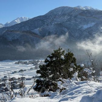 ほんとに美しい♡