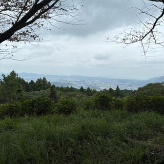 山頂からの眺め良し👍