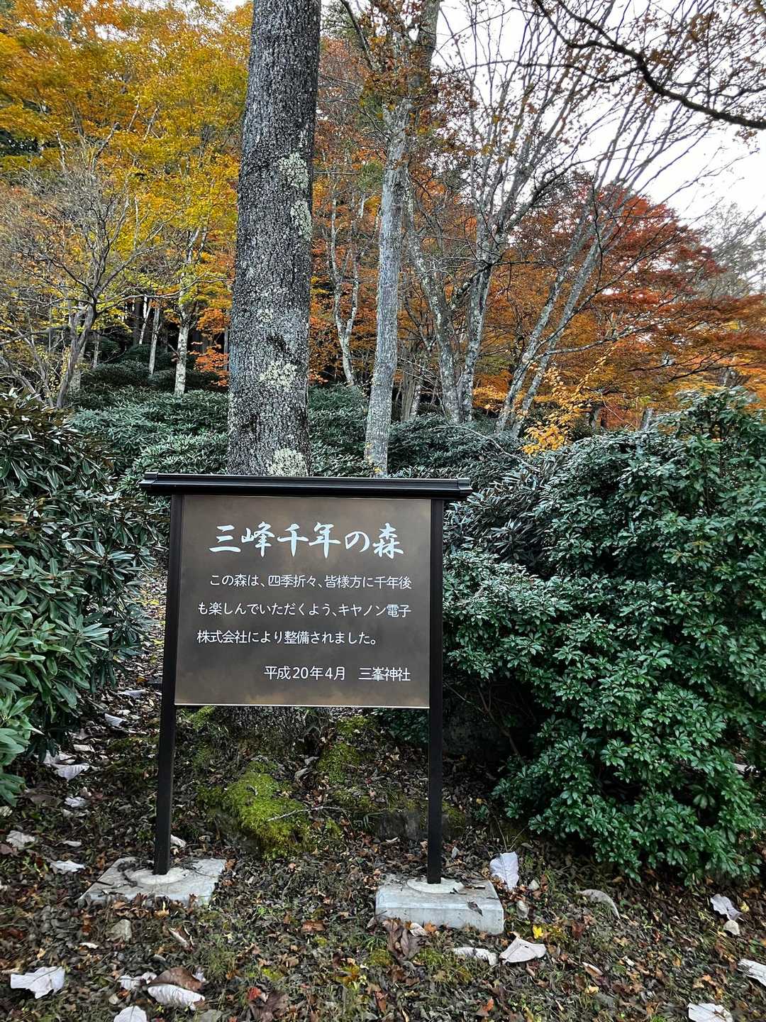 成蹊殿駐車場の傍のわかりにくい?入り口から、登山道に入ると千年の森の標識。
最初入り口が分からず林道の方へ歩いてしまって戻りました💦
