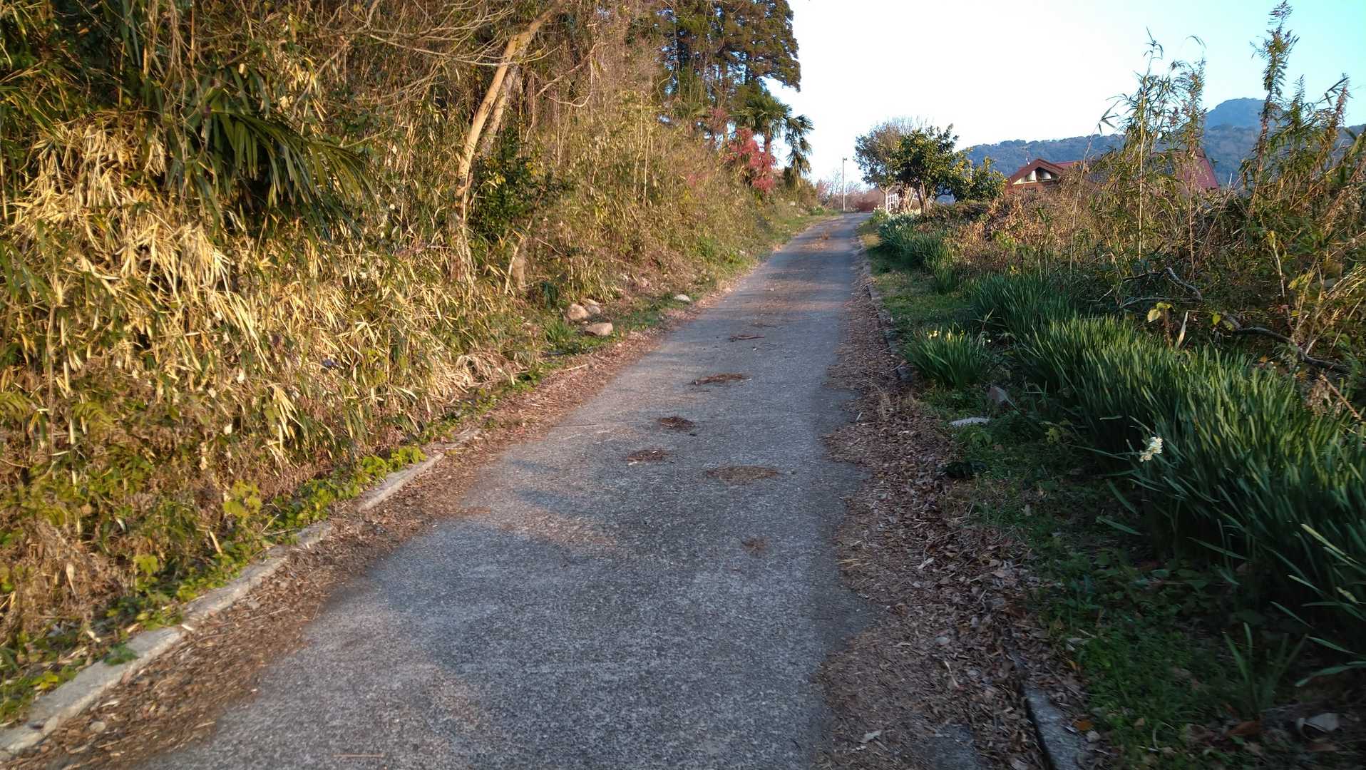 柴尾山 往復コースの写真