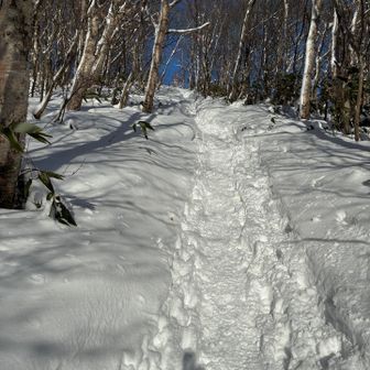 「鞍掛山一の急登」
天国への階段？会談？怪談？