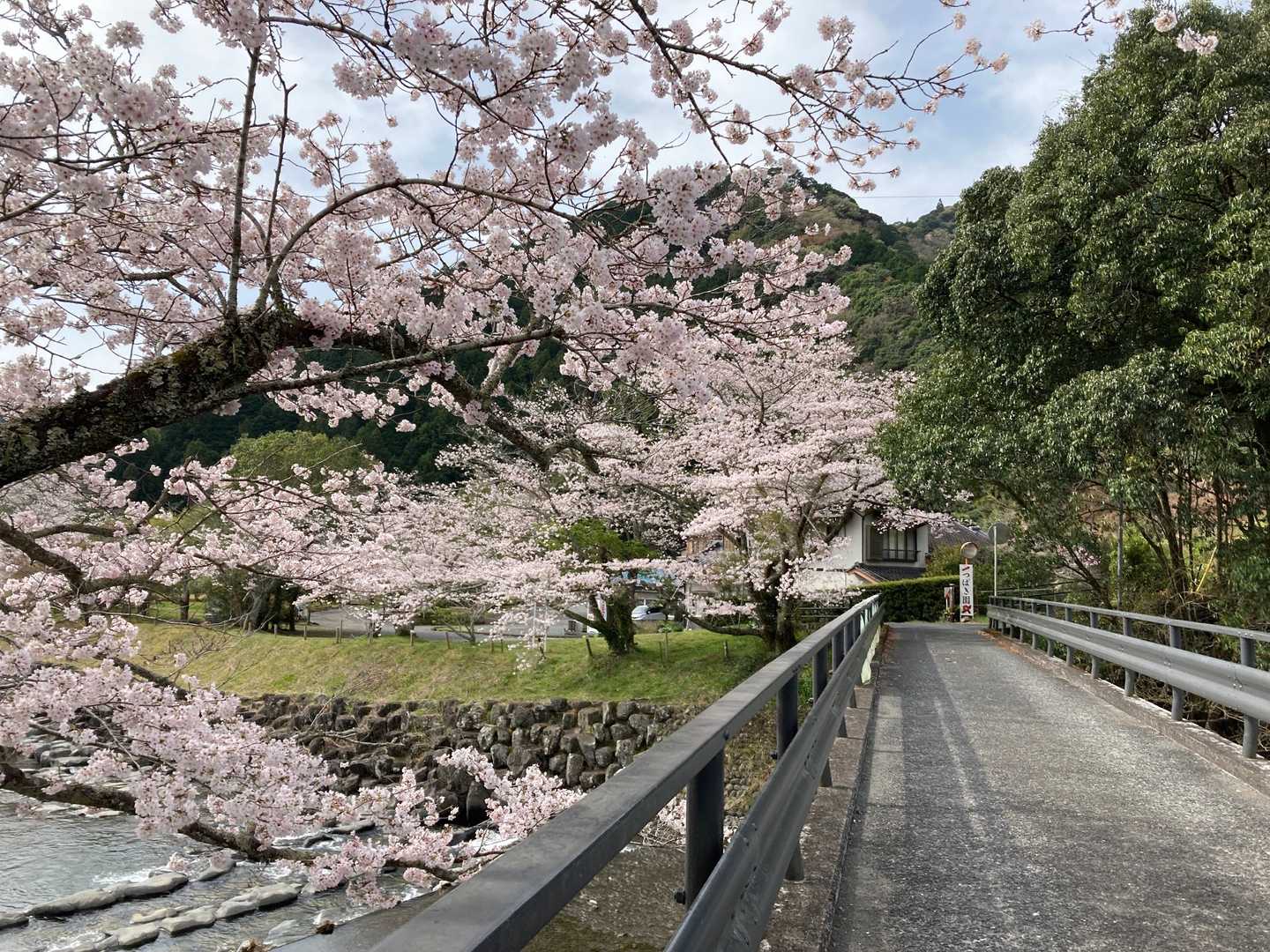 石谷山 往復コースの写真