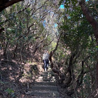 スニーカーでもオッケーな道