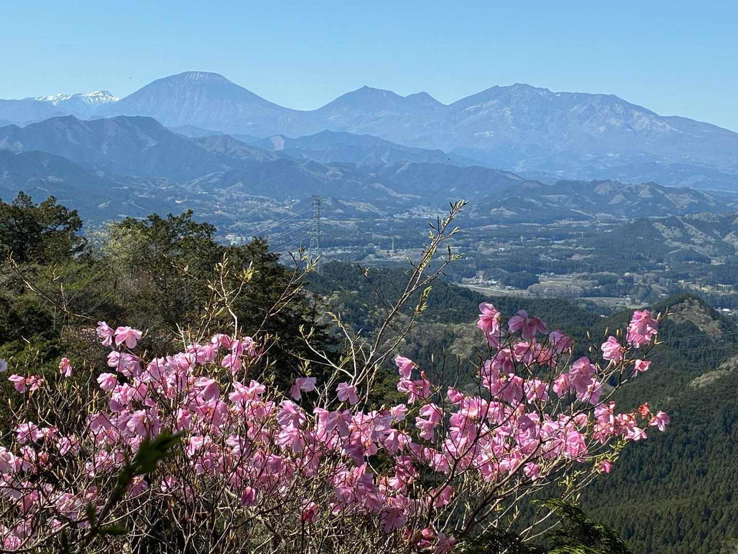 アカヤシオとヒカゲツツジ咲く古賀志山 / まひろの登山データ | YAMAP