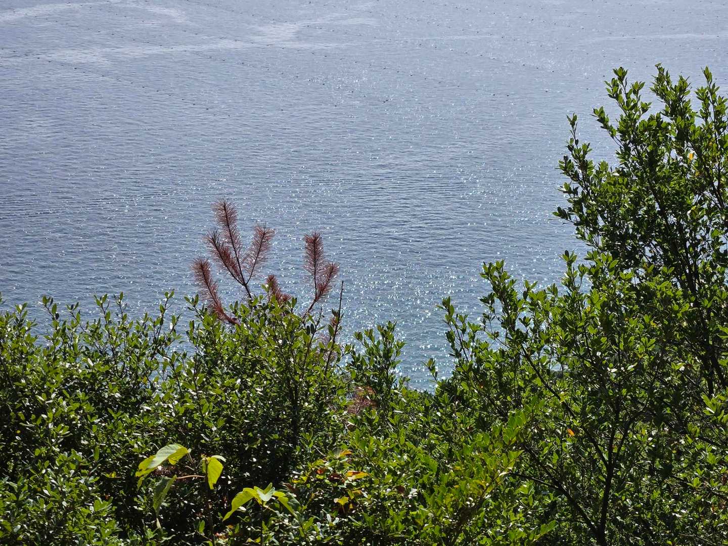 キラキラ光る海✨