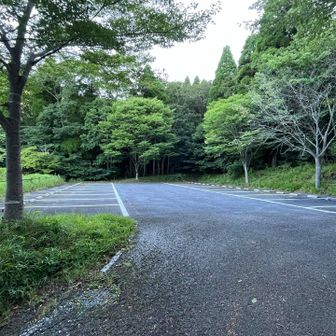 駐車場は40台くらい停められる