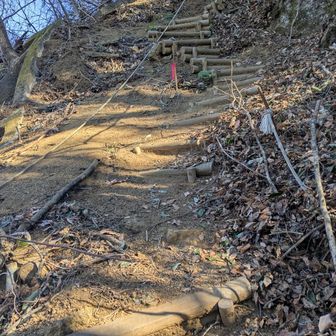 階段が埋まってたり乾いたサラサラの土なので登りでも若干滑る