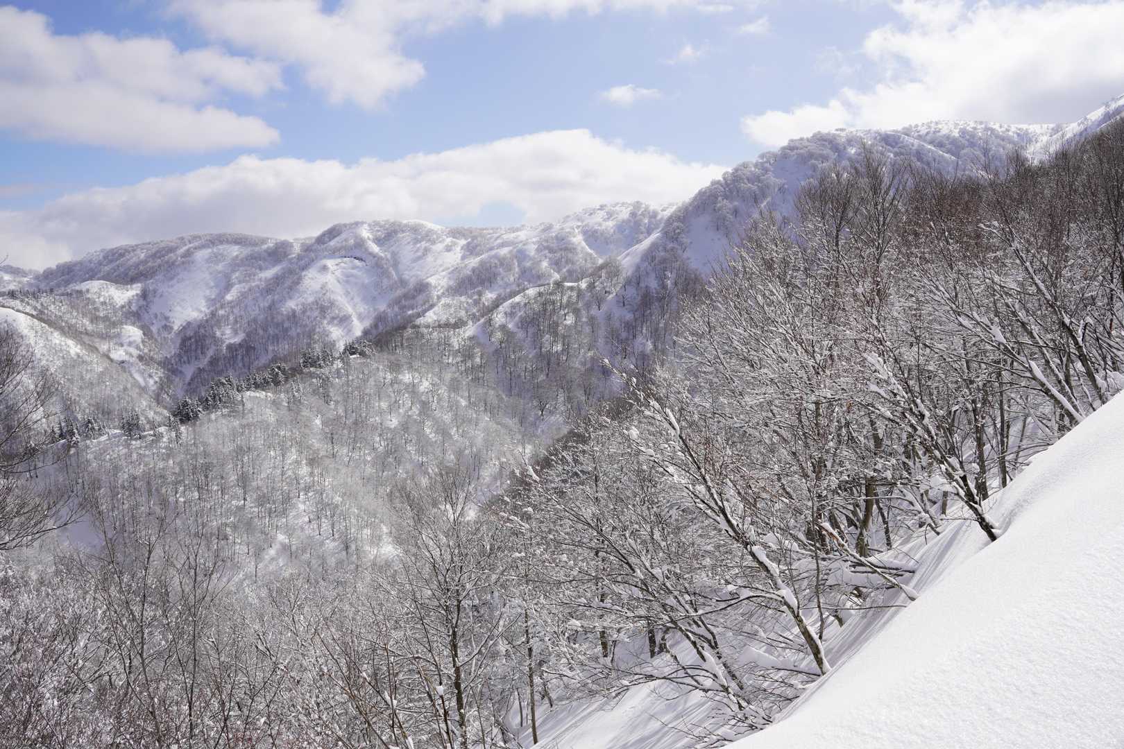 栃谷登山口-片折岳-金剛堂山-中金剛堂山 往復コースの写真