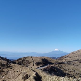 セクシーなシングルトラック