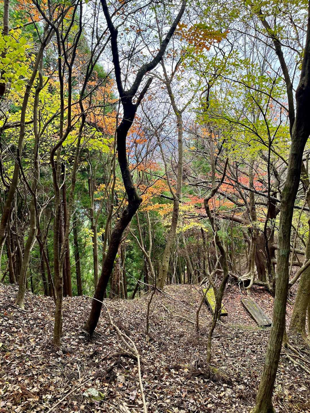 菩提峠-三ノ塔 往復コースの写真